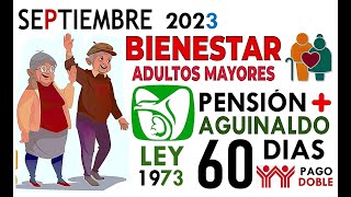 AGUINALDO IMSS de 60 DÍAS más DOBLE INFONAVIT pagos BIENESTAR SEPTIEMBRE 2023 [upl. by Opiuuk]