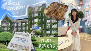 KOREA VLOG 📍🇰🇷 Exchange Student at Yonsei University amp Cinnamoroll Cafe [upl. by Dionysus]