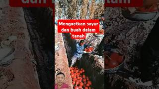 CARA agar buah dan sayuran awet berbulan bulan agriculture [upl. by Oilime]