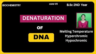 Denaturation of DNA BSc 2nd YearMelting TemperatureTmFactors Affect Melting Temperature [upl. by Akeihsal804]