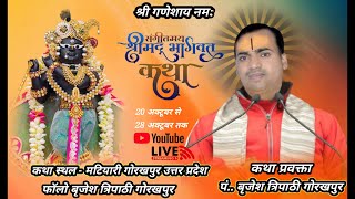 Brijesh Tripathi Gorakhpur is live mahamrityunjay mantra sava lakh [upl. by Magda]