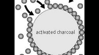 Adsorption and adsorption introduction [upl. by Adel606]