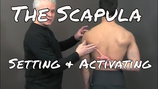 Setting and Activating the Scapula  Ask Dr Abelson [upl. by Noak785]