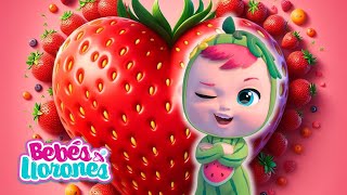 CORAZÓN de FRESA 🍓 TUTTI FRUTTI Bebés Llorones Lágrimas Mágicas 💕 CAPÍTULOS COMPLETOS en español [upl. by Aneer944]