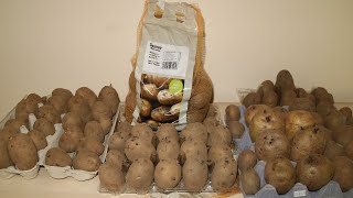 How to chit potatoes Chitting or Sprouting Potatoes Before Planting Allotment Gardening UK [upl. by Kajdan692]