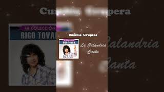 La Calandria Canta  Rigo Tovar • SHORT • Cumbia Grupera • Cumbias Sólo Cumbias cumbiagrupera [upl. by Sotsirhc]