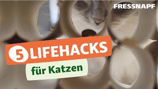 Fünf Lifehacks für das Leben mit Katzen  einfach und praktisch [upl. by Enitsirt683]