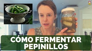 Cómo fermentar PEPINILLOS  PICKLES [upl. by Gusti]