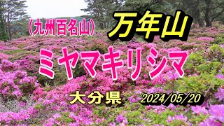 万年山 20240520 [upl. by Morette]