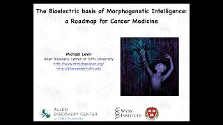 The Bioelectric Basis of Morphogenetic Intelligence a Roadmap for Cancer Medicine by Michael Levin [upl. by Reiko]