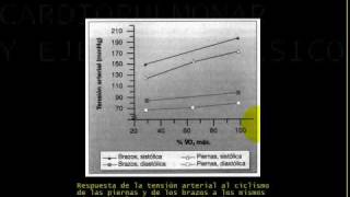 FISIOLOGIA CARDIOPULMONAR Y EJERCICIO 4 [upl. by Irrabaj]