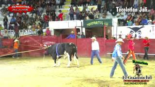 RANCHO EL GUAMUCHIL EN EL CARNAVAL DE TECOLOTLAN JALISCO [upl. by Ahseiyn]