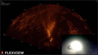 Kongsberg Mesotech Flexview multibeam sonar Diver inspecting anchor and marker line to the surface [upl. by Dobb]