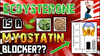 ECDYSTERONE BLOCKS MYOSTATIN  40 DROP IN MYOSTATIN SIMILAR TO IGF1 🧬🐂💉MYOSTATIN MONDAY🧬🐂💉 [upl. by Elvina]