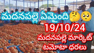 191024 Madanapalle Tomato Market price Today  Today Tomato Market Rate in Madanapalle today [upl. by Caresa689]