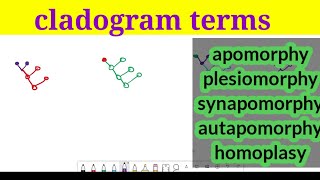 cladogram terms explained in hindi apomorphyplesiomorphyautapomorphyhomoplasy in hindi [upl. by Selda843]