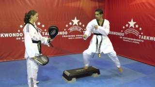 PRESENTACION DEL PROGRAMA MUNDIAL DE ENTRENAMIENTO DE TAEKWONDO [upl. by Hidie259]