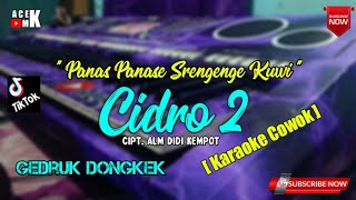 Cidro 2 Karaoke Koplo nada cowok  New Set 313 Nusantara V22 [upl. by Steffie]