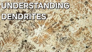 UNDERSTANDING DENDRITES MINERALOGY 🌴 [upl. by Martreb]