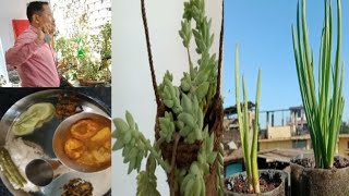 Vlog 🥰Thawai Wamanna Sihoudre 😊TilhouSu ThareAsit Naorem Vlogs [upl. by Dlarrej]