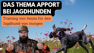 Das Thema quotApportquot in der modernen Jagdhundeausbildung [upl. by Ileana]