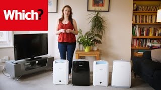 How to buy the best dehumidifier [upl. by Yelekalb]