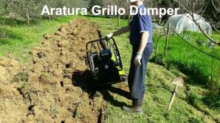 Aratura Grillo Dumper [upl. by Maloy]