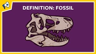 What is a fossil Quick Definition [upl. by Terry958]