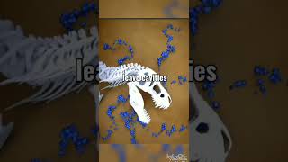 How do fossils form step by step shorts youtubeshorts shapesoflife shortfeed shortvideo viral [upl. by Liddy]