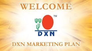 DXN Marketing Plan Hindi Version [upl. by Ednargel]