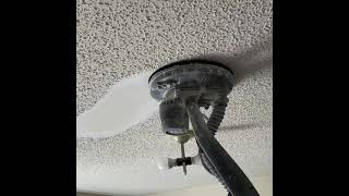 Removing Popcorn Ceiling with Festool Planex Easy [upl. by Notlew]