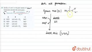 Identify AB and C in the given reaction of lactic acid fermentation and select the correct option [upl. by Atsirak]