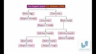 Classification of Living OrganismsFive Kingdom System protista monera fungi plant animals [upl. by Notkcorb]