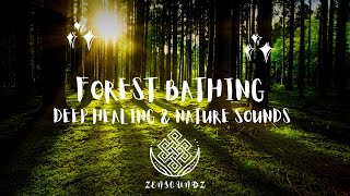 Forest Bathing Meditation MusicPure RelaxationDeep Healing amp Nature SoundsShinrin Yoku [upl. by Karyn]