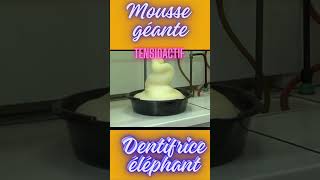 Chimie récréative Tensioactif et mousse géante Dentifrice pour éléphantTensioactifséducation [upl. by Alludba]