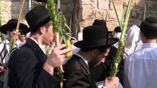 Israeli Jews celebrate Sukkot in Jerusalem [upl. by Lhadnek644]