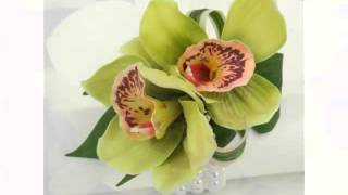 Green Cymbidium Orchid  Collection Of Nice And Rare Flower Images [upl. by Ttreve]