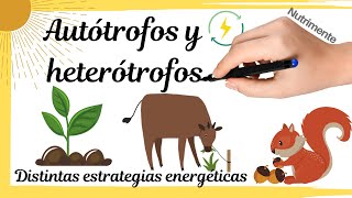 HETERÓTROFOS y AUTÓTROFOS Distintas estrategias energéticas [upl. by Charron]