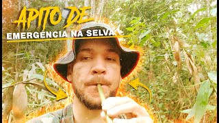 COMO FAZER UM APITO DE EMERGÊNCIA NA SELVA COMO PEDIR SOCORRO NA SELVA APITO DE SOBREVIVÊNCIA [upl. by Alak]