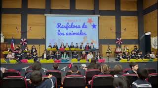 2°A  Refalosa de los animales  Muestra de Música Chilena 2024 [upl. by Jennette212]