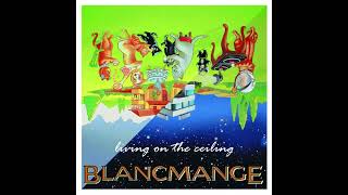 Blancmange  Living On The Ceiling   The Upside Down Remix [upl. by Yorgerg]