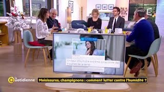 Moisissures champignons  comment lutter contre lhumidité [upl. by Waller]