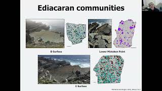 Using ecology to unlock the secrets of Ediacaran evolution  Emily Mitchell [upl. by Llerraj]