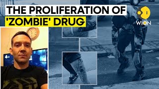 Flesheating ‘zombie’ drug that has ravaged US cities reaches the UK  WION Originals [upl. by Drain]