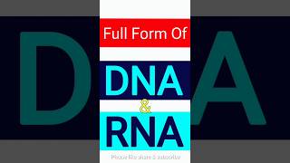 DNA और RNA का Full Form  Full Form of DNA and RNA Explained [upl. by Eilsek]