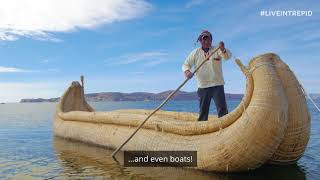 The Unique Floating Islands of Lake Titicaca [upl. by Wendalyn411]