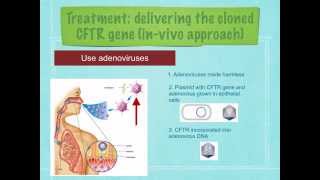 A level R7 Cystic fibrosis and gene therapy Ms Cooper [upl. by Brita]