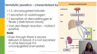 Hemolytic Jaundice Explained  Causes Symptoms and Biochemical Insights [upl. by Nadabus]