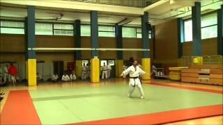 Karate Shotokan 2nd DAN Grading [upl. by Daryn278]