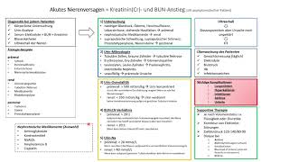 Akutes Nierenversagen  Zusammenfassung für das Medizinstudium und USMLE [upl. by Rehpotsyrhc402]